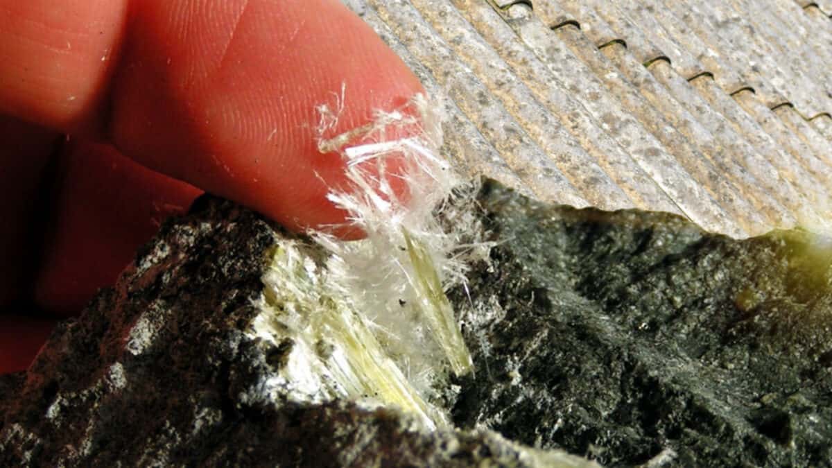 Navigating Asbestos Training Image